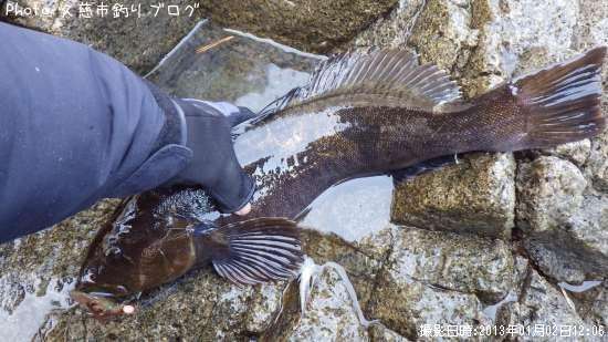 �����ʥ�