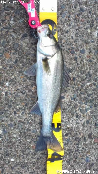 �����Х�