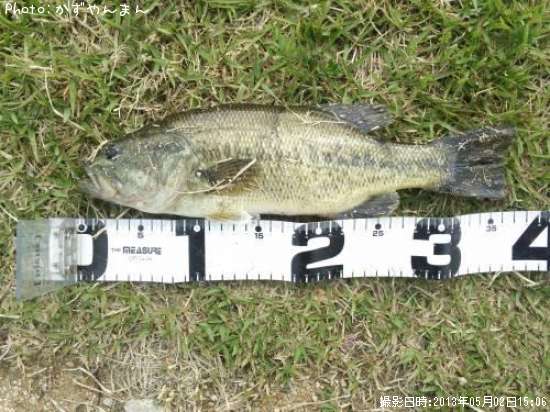 �֥�å��Х�