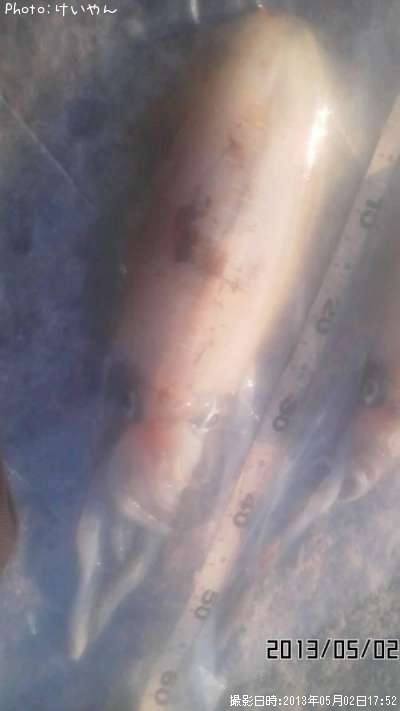 �����ꥤ��