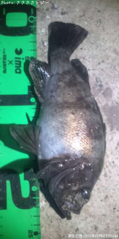 ���ꥢ��Х�