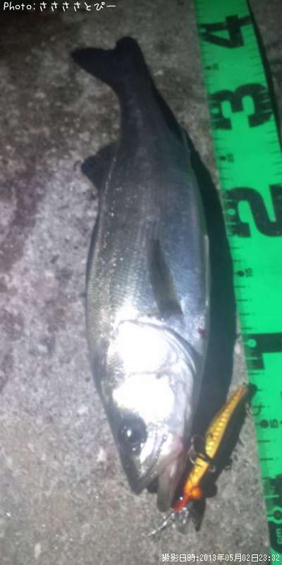 �����Х�