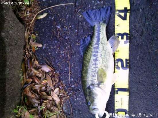 �֥�å��Х�