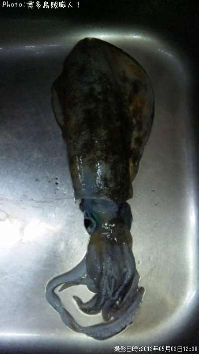 �����ꥤ��