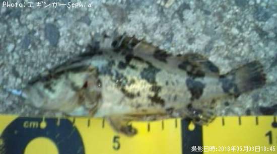 �����Υ���Х�