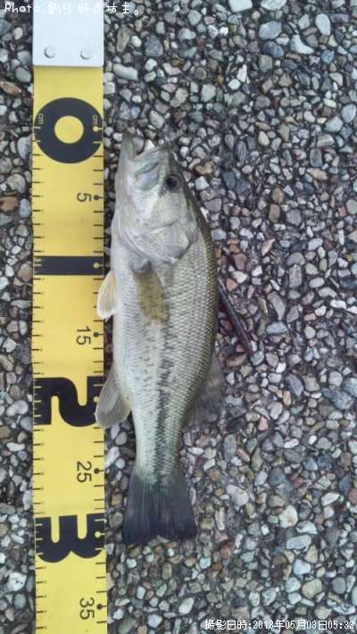 �֥�å��Х�