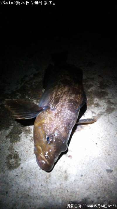 �����ʥ�