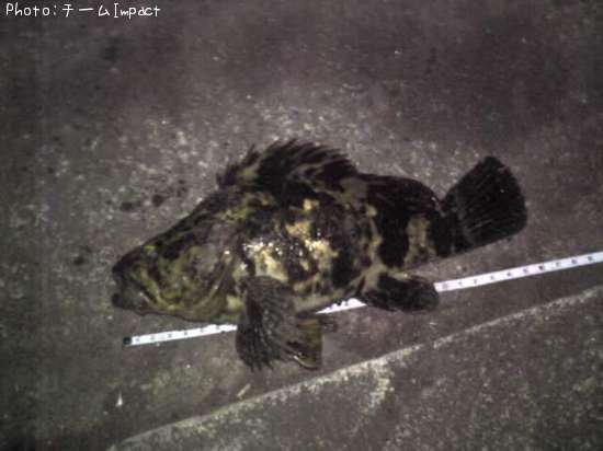 �����Υ���Х�