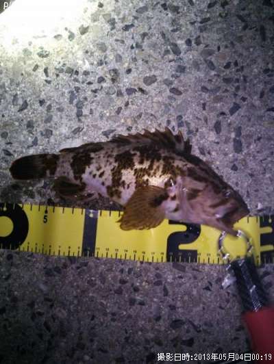 �����Υ���Х�