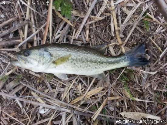 �֥�å��Х�