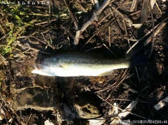 �֥�å��Х�