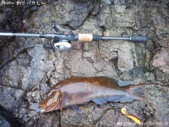 �����ʥ�