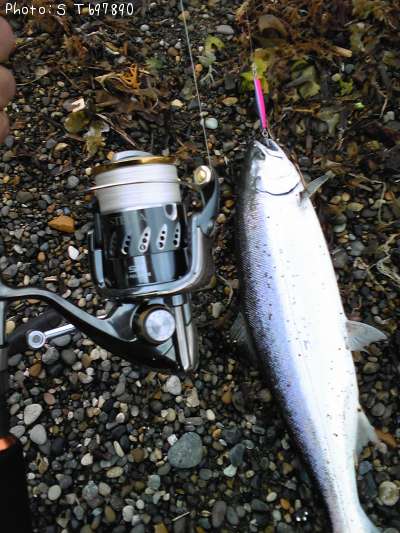 ������ޥ�