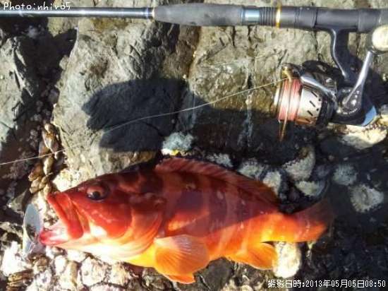 �����ϥ�