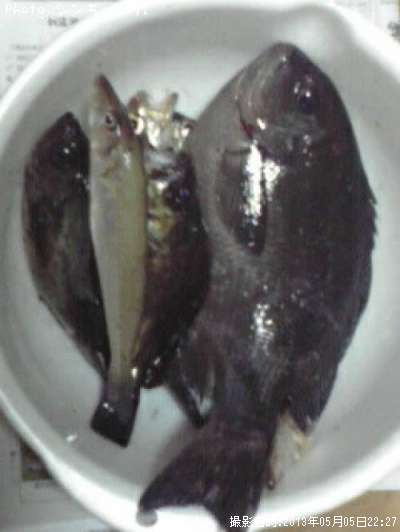 ��������Х�