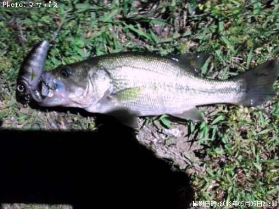 �֥�å��Х�