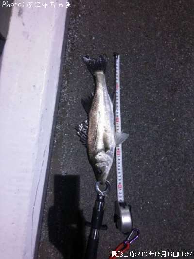 �����Х�