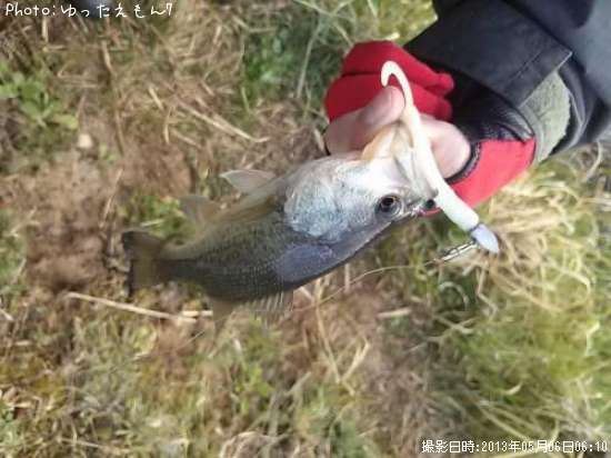 �顼���ޥ���