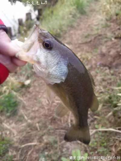 �顼���ޥ���