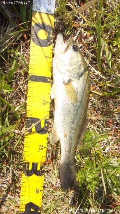 �֥�å��Х�