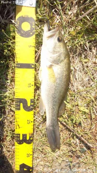 �֥�å��Х�