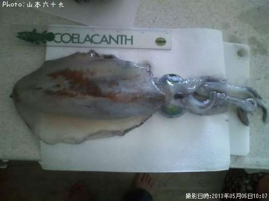 �����ꥤ��