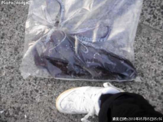 �����ꥤ��