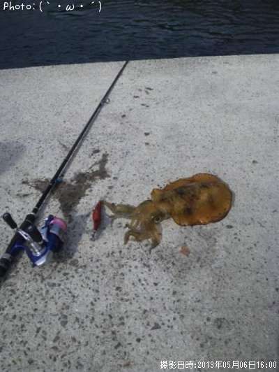 �����ꥤ��