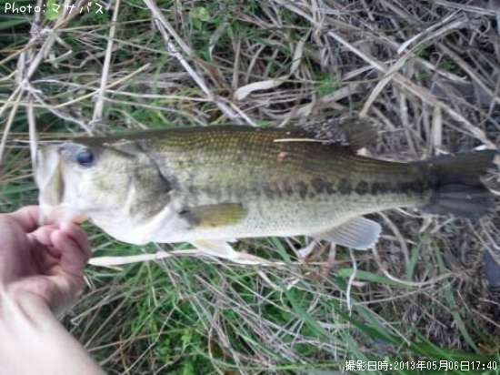 �֥�å��Х�