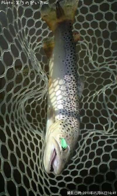 ���㥬���ȥ饦��