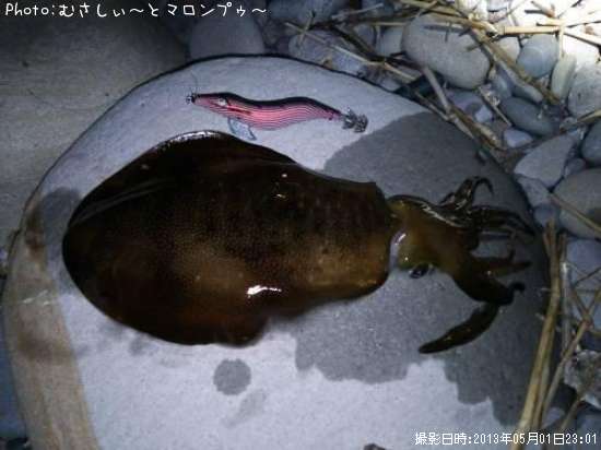 �����ꥤ��