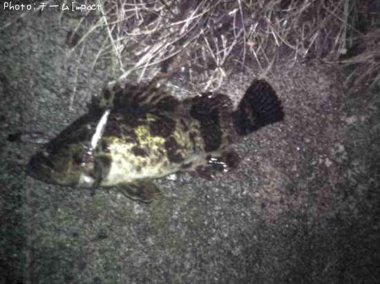 �����Υ���Х�