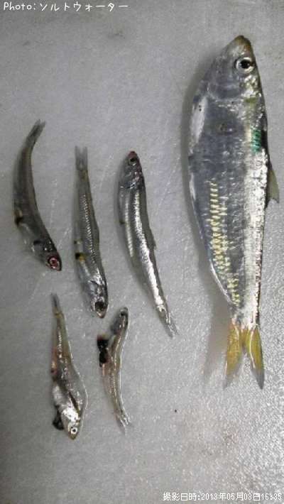 �����������亮