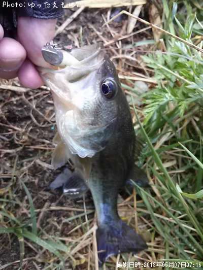 �顼���ޥ���