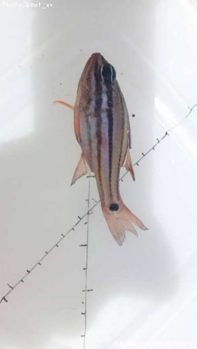 ���������������