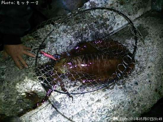 �����ꥤ��