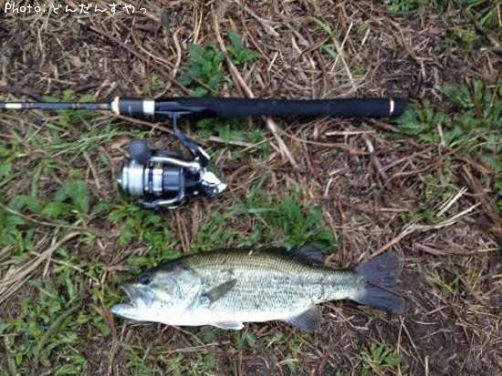 �֥�å��Х�