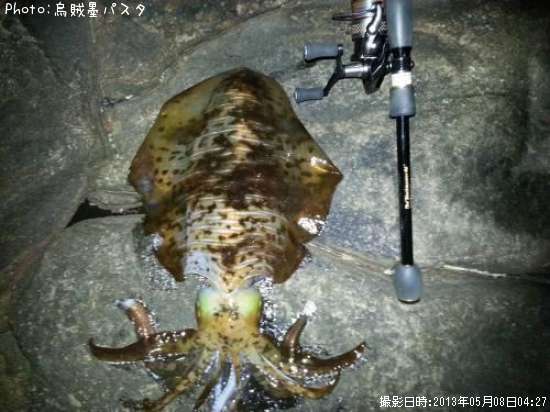 �����ꥤ��