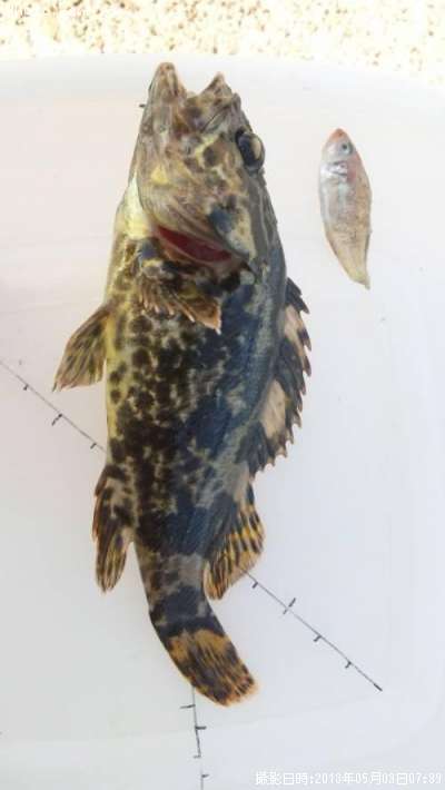 �����Υ���Х�