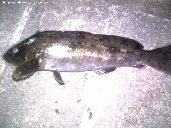 �����ʥ�