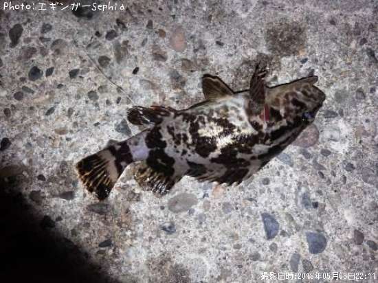 �����Υ���Х�