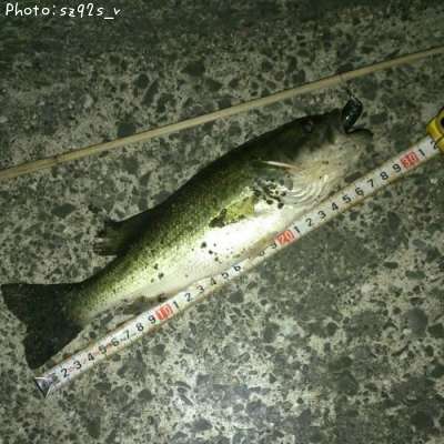 �֥�å��Х�