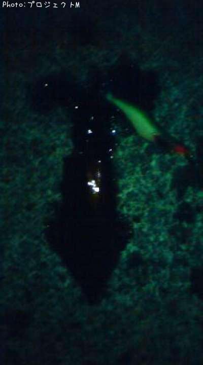 ����ɥ�����