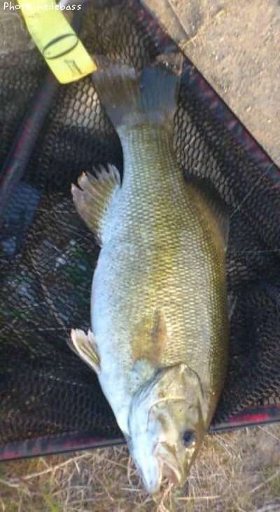 �֥�å��Х������⡼��ޥ���