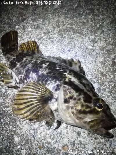 �����Υ���Х�