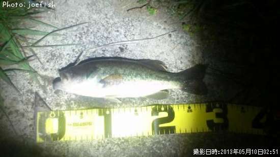 �֥�å��Х�