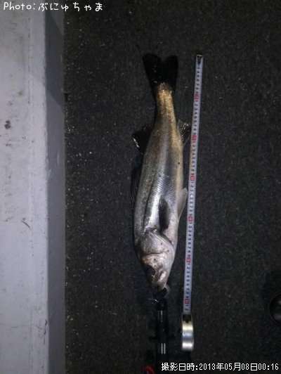 �����Х�