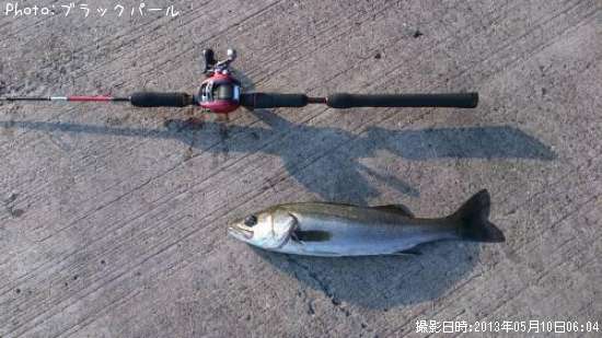 �����Х�