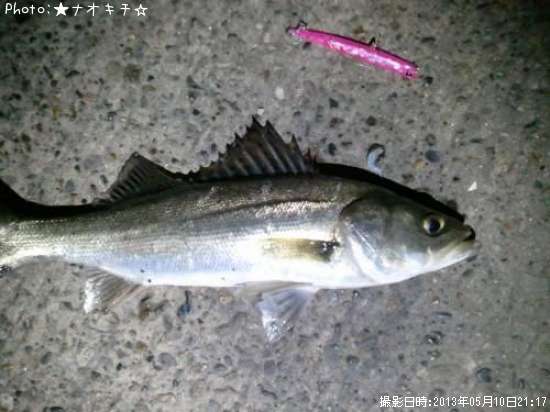 �����Х�