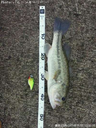 �֥�å��Х�